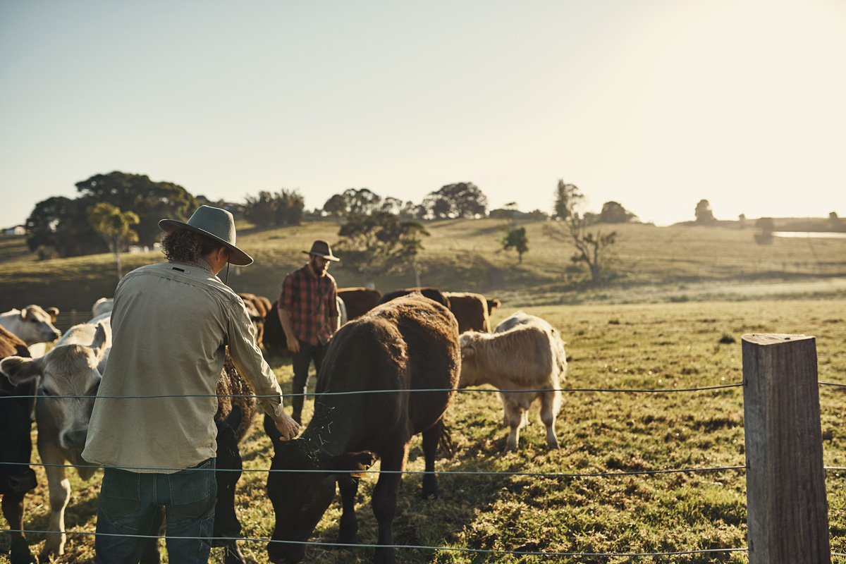 dairy jobs in south australia